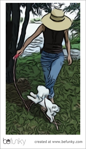 Non ! Charlotte. Non !