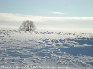 photo-mars-2009-037_opt