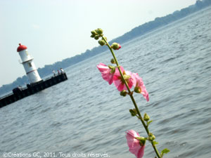 Bord_de_l_eau_pres_32eave_lachine_16082009 (3)