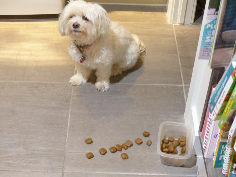 Que cherche Charlotte